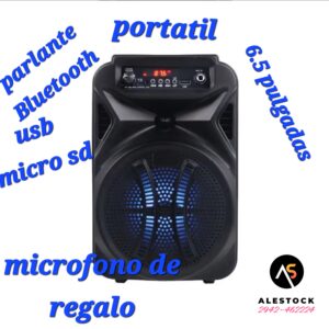 Parlante Inalambrico Con Microfono Portatil 6.5 Pulgadas
